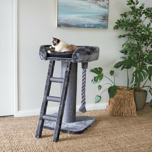 Kazoo cat high sales bed